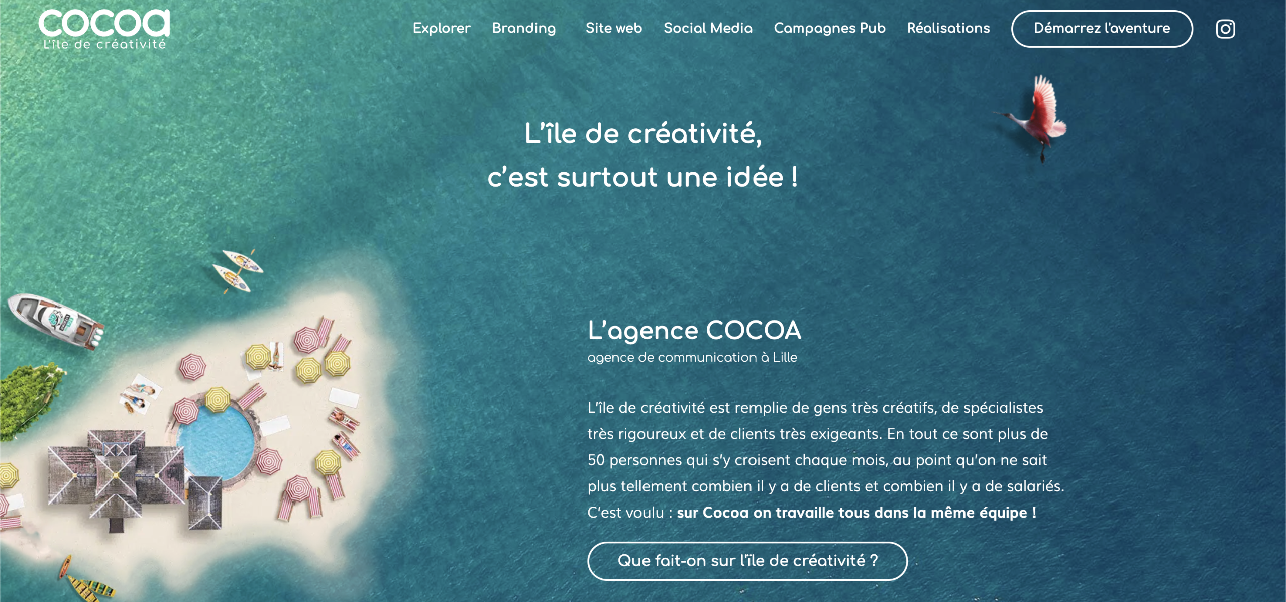 Accueil cocoa